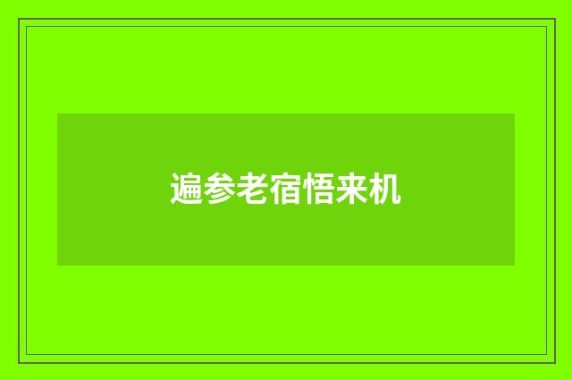 遍参老宿悟来机