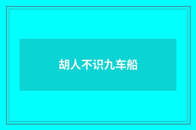 胡人不识九车船