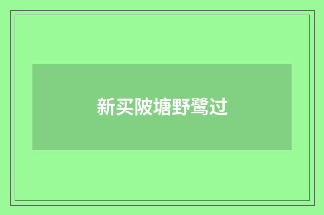 新买陂塘野鹭过