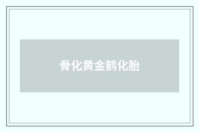 骨化黄金鹤化胎