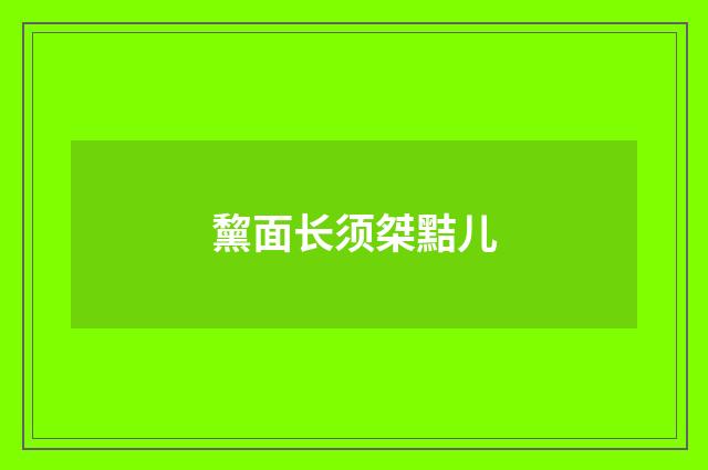 黧面长须桀黠儿