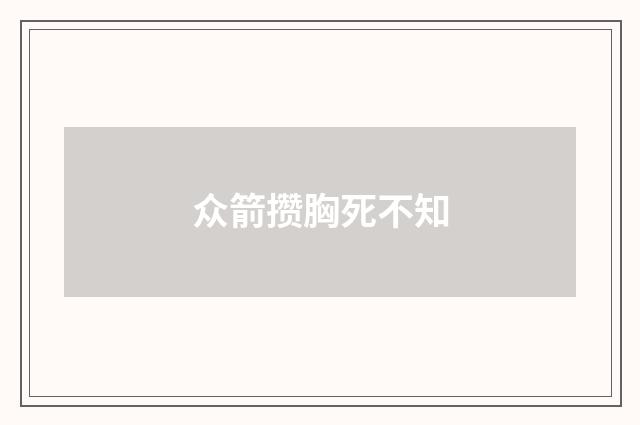 众箭攒胸死不知