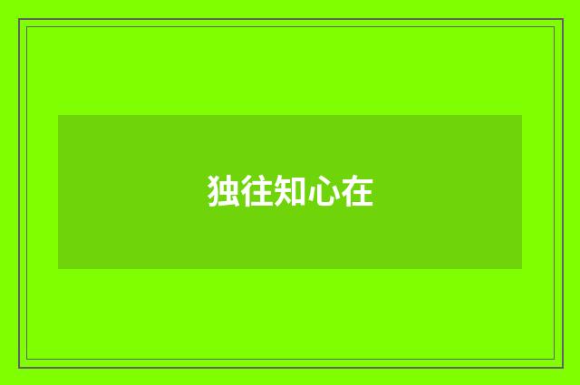 独往知心在