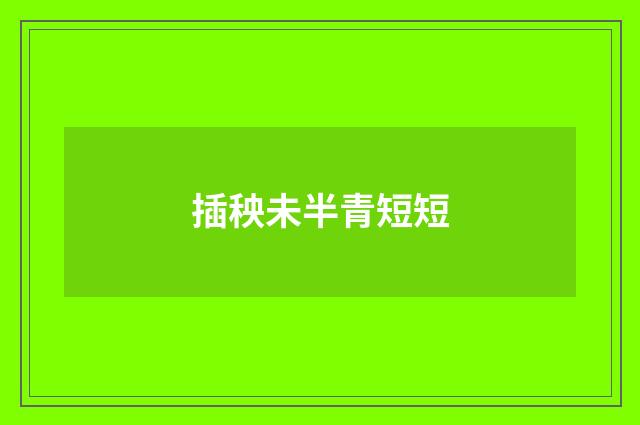 插秧未半青短短