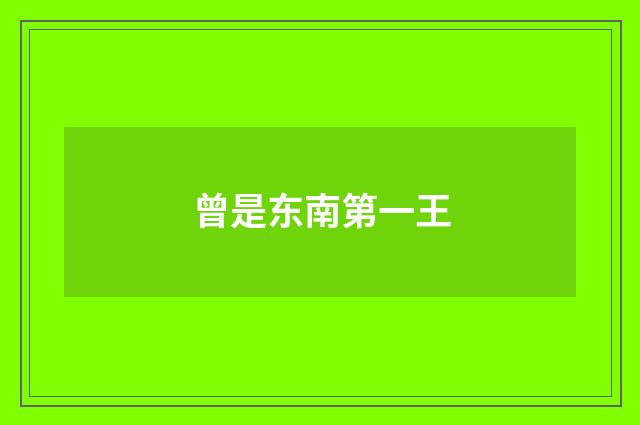 曾是东南第一王