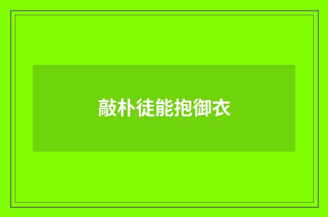敲朴徒能抱御衣