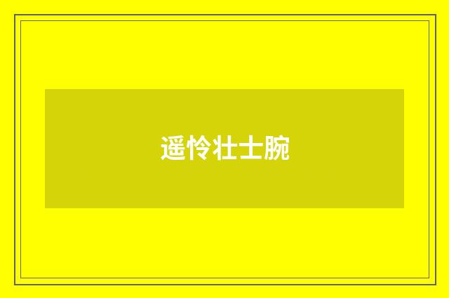 遥怜壮士腕