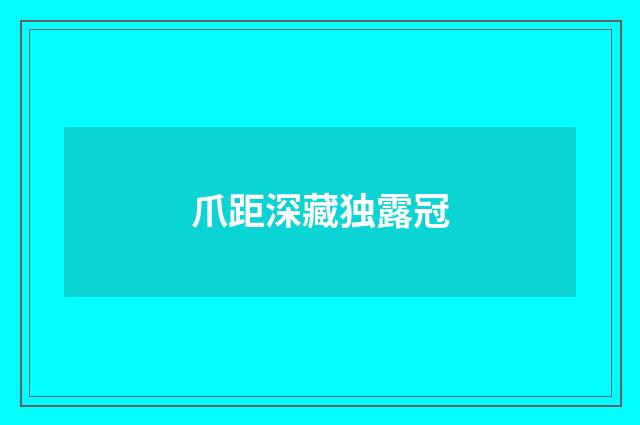 爪距深藏独露冠