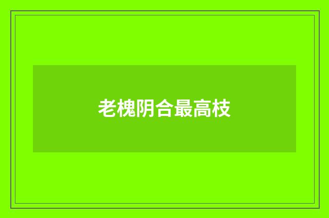 老槐阴合最高枝