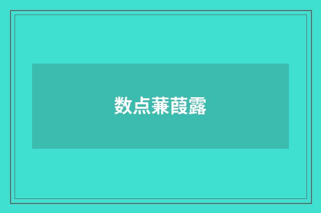 数点蒹葭露