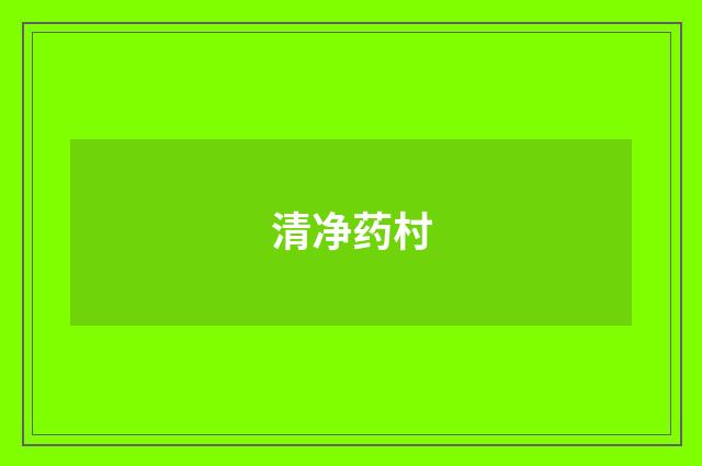 清净药村