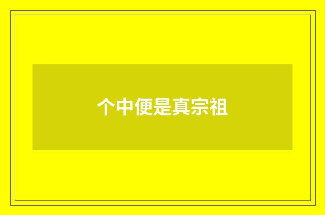 个中便是真宗祖