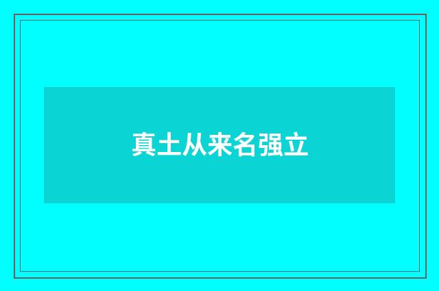 真土从来名强立