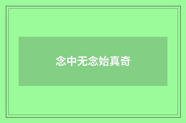 念中无念始真奇