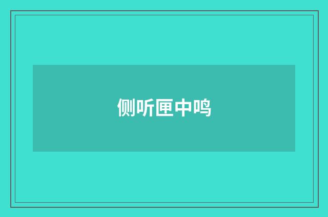 侧听匣中鸣