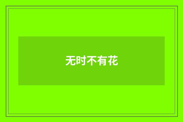 无时不有花