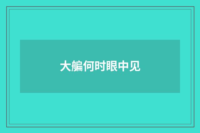 大艑何时眼中见