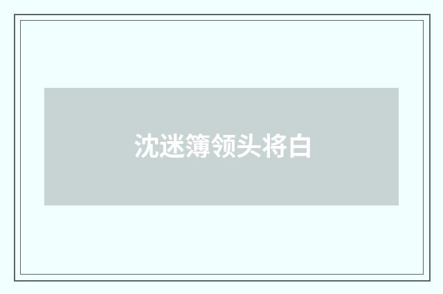 沈迷簿领头将白