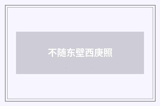 不随东壁西庚照