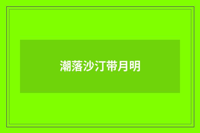 潮落沙汀带月明