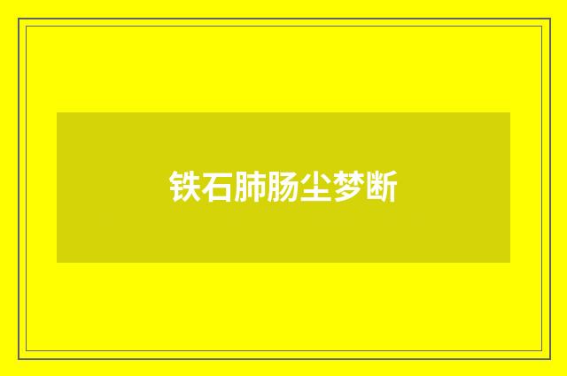 铁石肺肠尘梦断