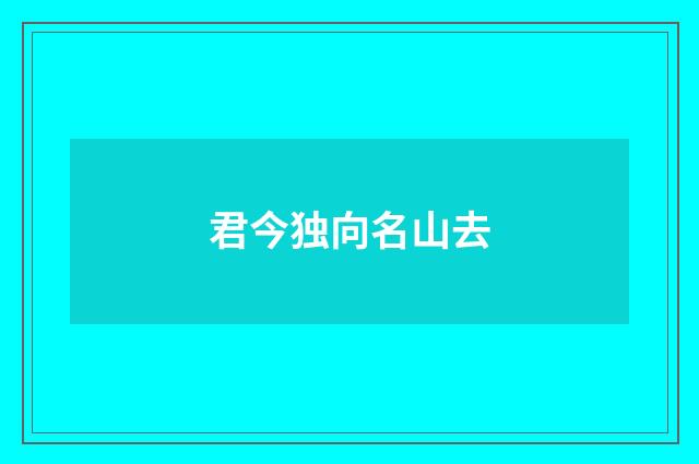 君今独向名山去
