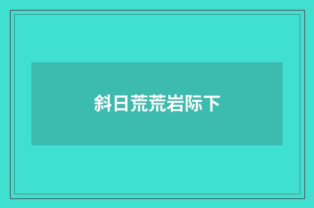 斜日荒荒岩际下
