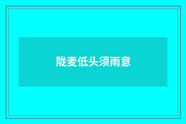 陇麦低头须雨意