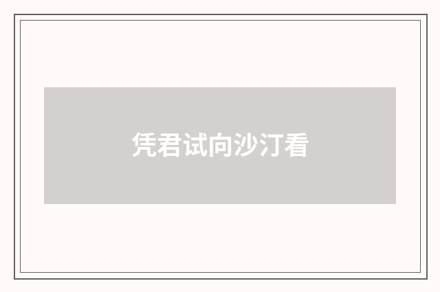 凭君试向沙汀看