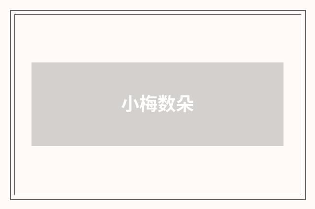 小梅数朵