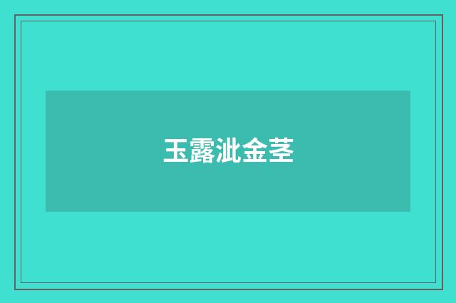 玉露泚金茎