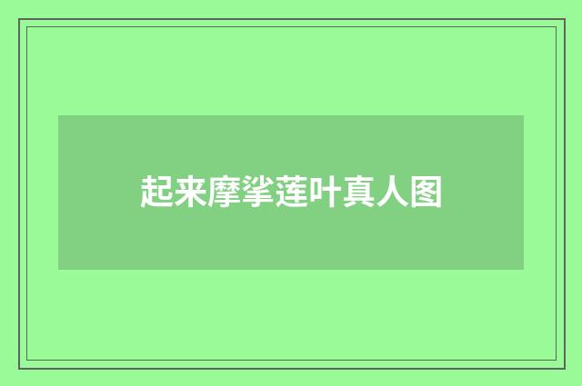 起来摩挲莲叶真人图