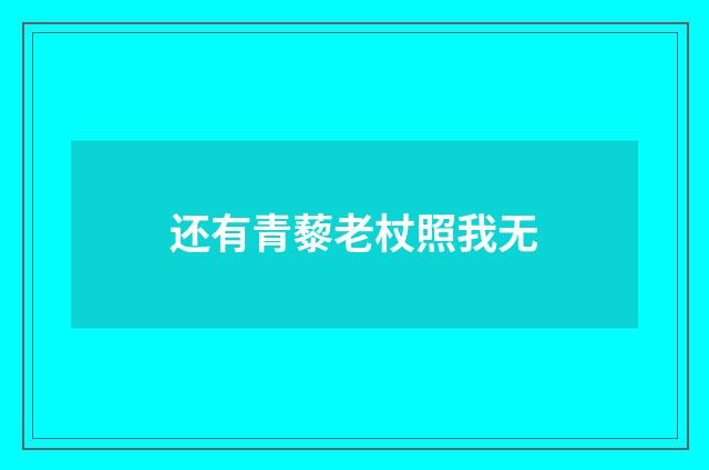 还有青藜老杖照我无