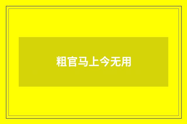 粗官马上今无用