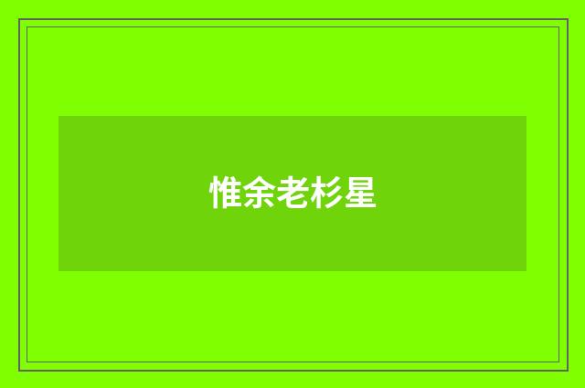 惟余老杉星