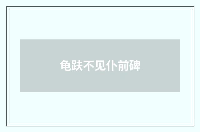 龟趺不见仆前碑