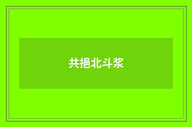 共挹北斗浆