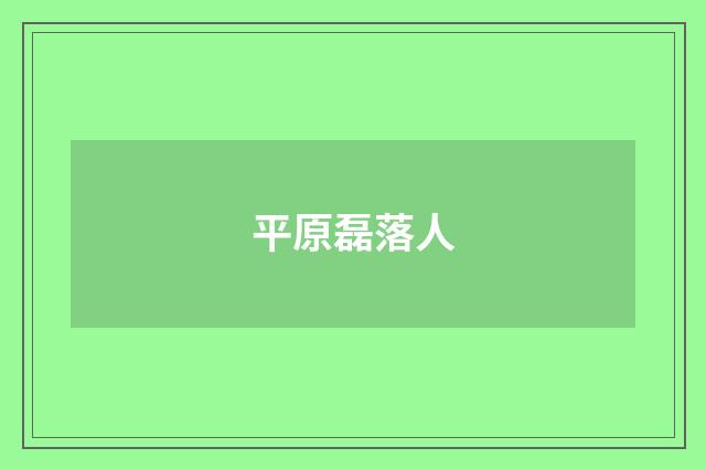 平原磊落人