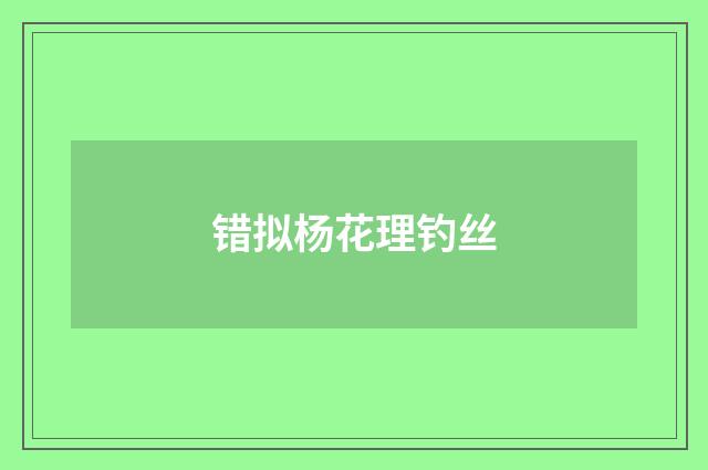 错拟杨花理钓丝