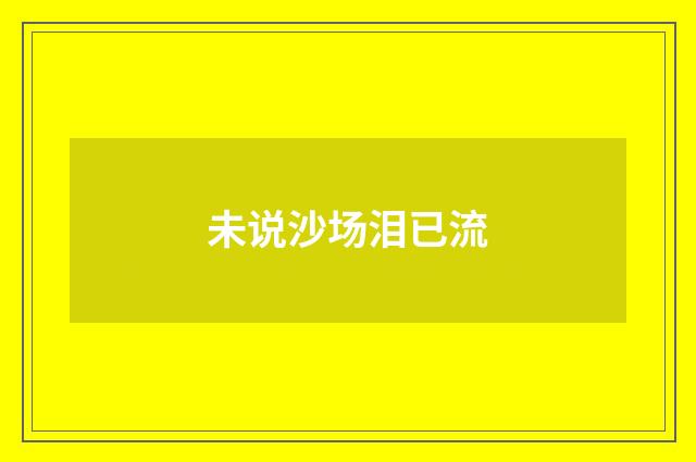 未说沙场泪已流