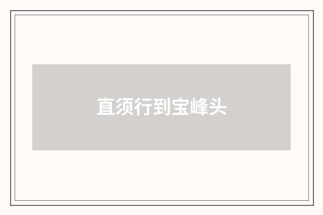直须行到宝峰头