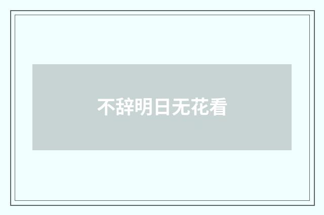 不辞明日无花看