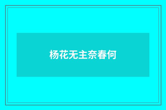杨花无主奈春何
