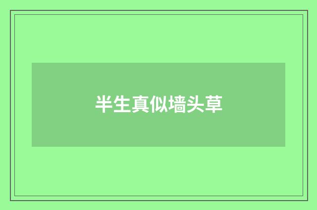 半生真似墙头草