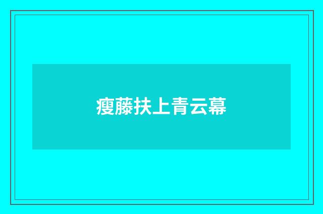 瘦藤扶上青云幕