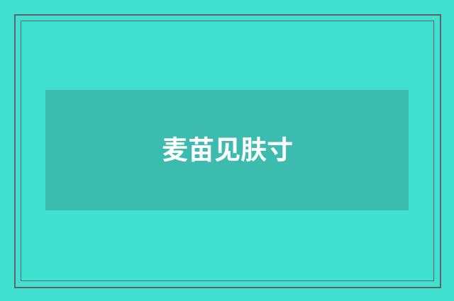 麦苗见肤寸