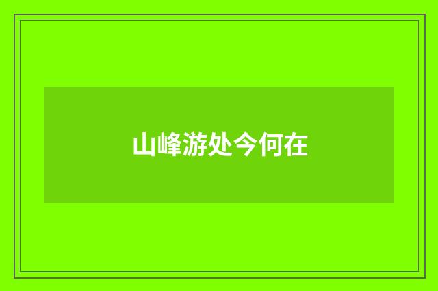 山峰游处今何在