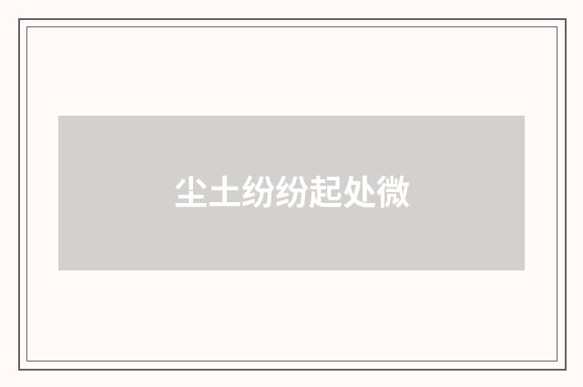 尘土纷纷起处微
