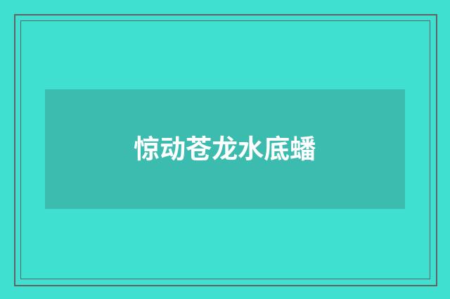 惊动苍龙水底蟠