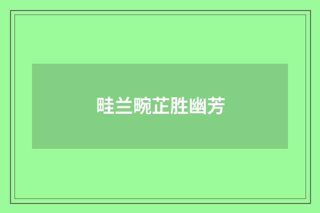畦兰畹芷胜幽芳